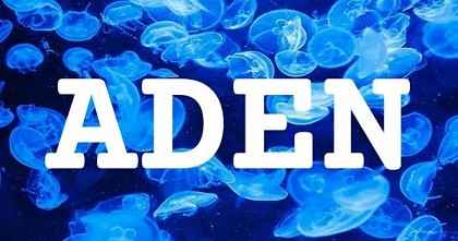 ADEN英文名字意義