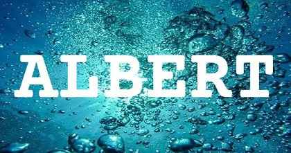 ALBERT英文名字意義