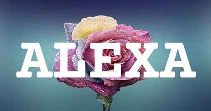 ALEXA英文名字意義