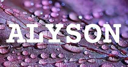 ALYSON英文名字意義