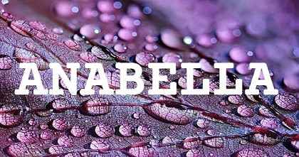 ANABELLA英文名字意義