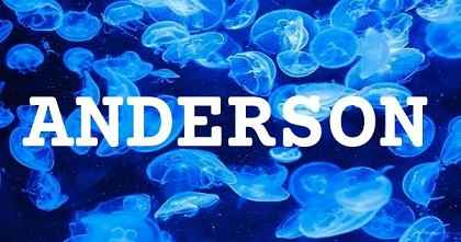 ANDERSON英文名字意義
