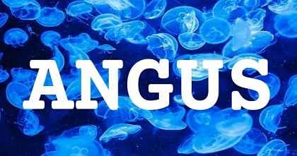 ANGUS英文名字意義