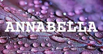 ANNABELLA英文名字意義