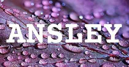 ANSLEY英文名字意義
