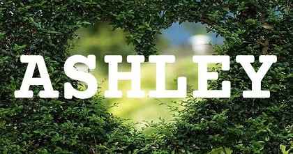 ASHLEY英文名字意義