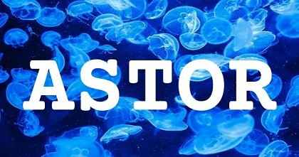 ASTOR英文名字意義