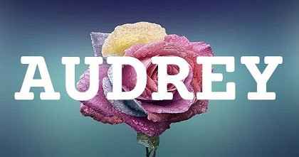 AUDREY英文名字意義
