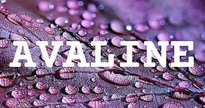 AVALINE英文名字意義