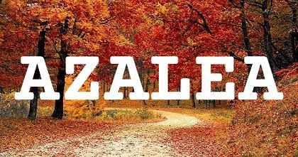 AZALEA英文名字意義