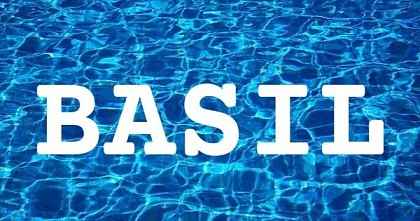 BASIL英文名字意義