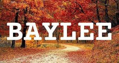 BAYLEE英文名字意義