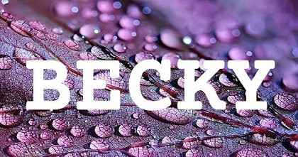 BECKY英文名字意義