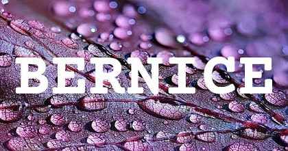 BERNICE英文名字意義