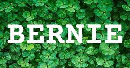 BERNIE英文名字意義