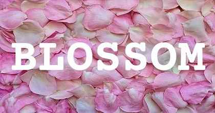 BLOSSOM英文名字意義