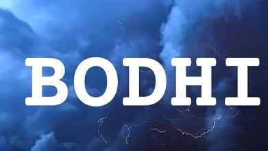 BODHI英文名字意義