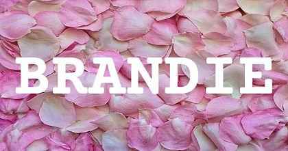 BRANDIE英文名字意義