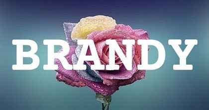 BRANDY英文名字意義