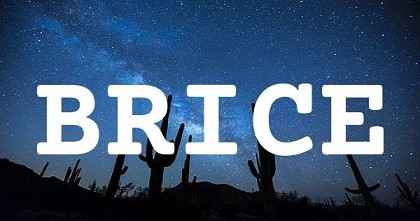 BRICE英文名字意義