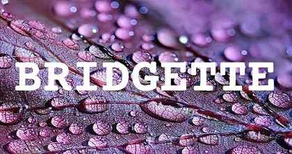 BRIDGETTE英文名字意義