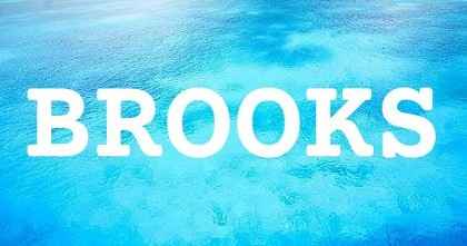 BROOKS英文名字意義