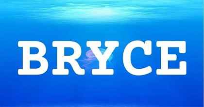 BRYCE英文名字意義