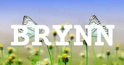 BRYNN英文名字意義