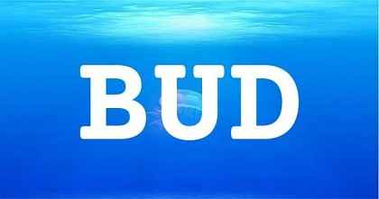 BUD英文名字意義
