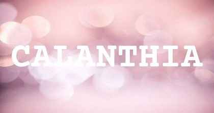 CALANTHIA英文名字意義