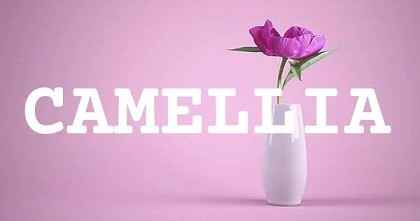 CAMELLIA英文名字意義