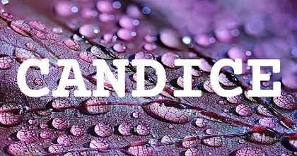 CANDICE英文名字意義