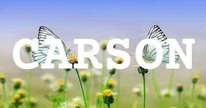 CARSON英文名字意義