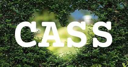 CASS英文名字意義