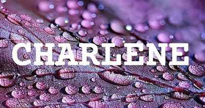 CHARLENE英文名字意義