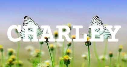 CHARLEY英文名字意義