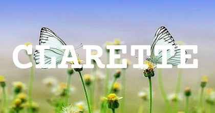 CLARETTE英文名字意義