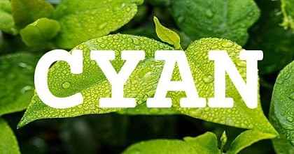 CYAN英文名字意義