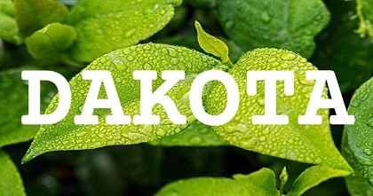 DAKOTA英文名字意義