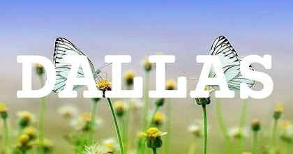 DALLAS英文名字意義