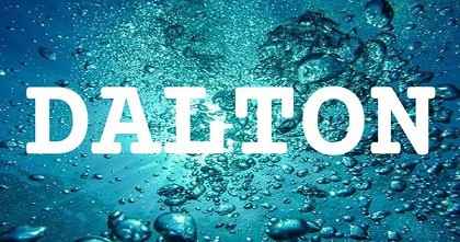 DALTON英文名字意義