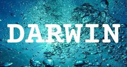DARWIN英文名字意義