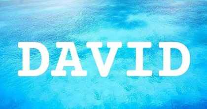 DAVID英文名字意義