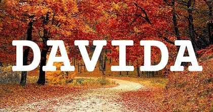 DAVIDA英文名字意義
