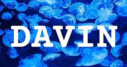 DAVIN英文名字意義