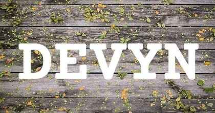 DEVYN英文名字意義