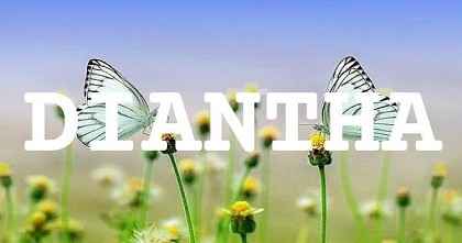 DIANTHA英文名字意義