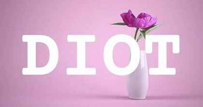 DIOT英文名字意義
