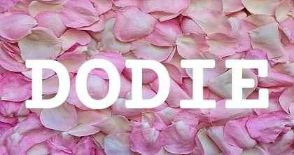 DODIE英文名字意義