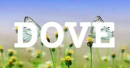 DOVE英文名字意義